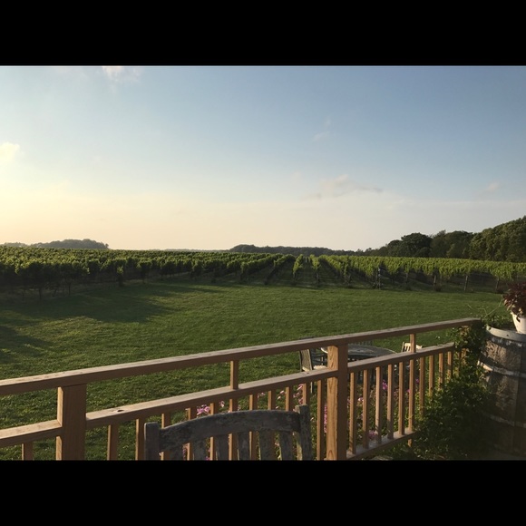 Meet your Posher, Lauren - Picture 1 of 1